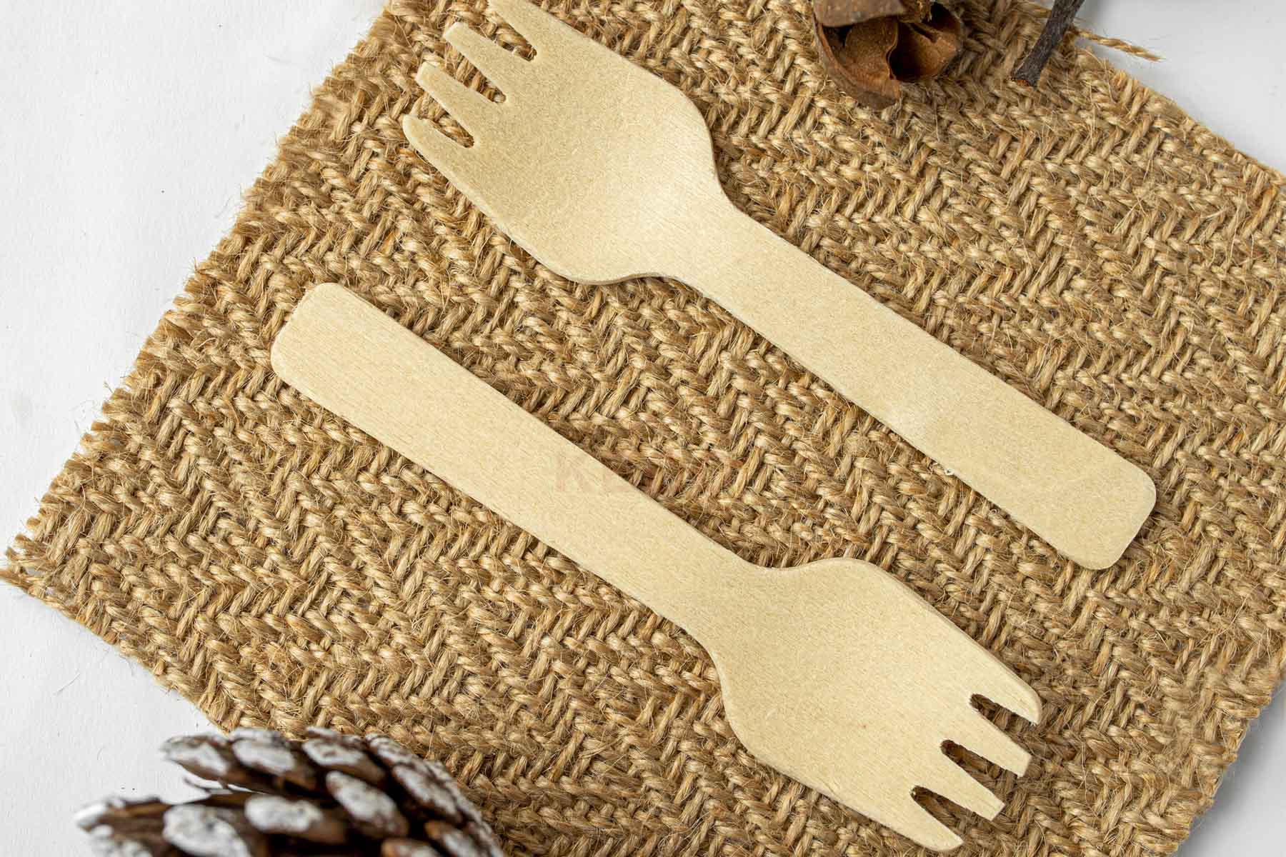 https://kego.com.vn/wp-content/uploads/2023/03/disposable-wooden-fork-3.jpg
